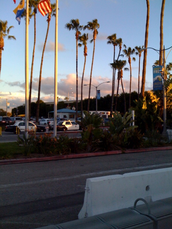 photo-41