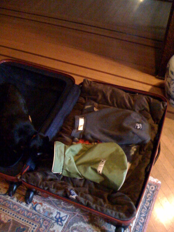 photo-31