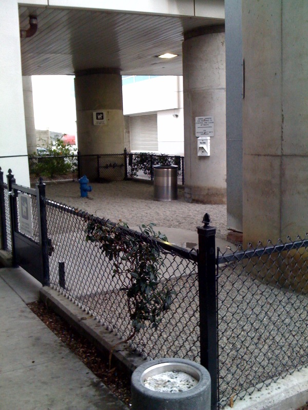 photo-45