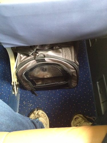 The large Kobi Carrier, end gusset zipped closed, in a window seat on a Southwest 737-300