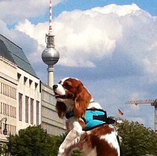 Spock in mid-air, Berlin’s Fernsehturm (an enormously tall 1960’s TV tower) in the background