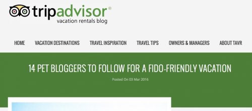 14_Pet_Bloggers_To_Follow_For_A_Fido-Friendly_Vacation___TripAdvisor_Vacation_Rentals