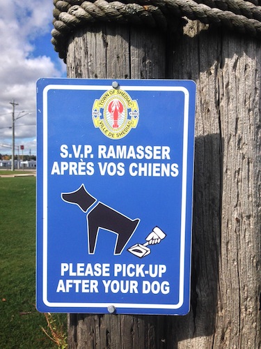 This is an extremely odd sign — that disembodied hand! the weary hours of training it must have taken to  convince a dog to poop directly into a pan!