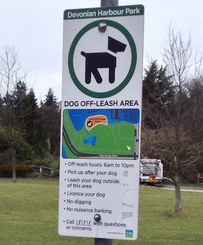 Let your pup spend her off-leash energy here, before heading into Stanley Park — at the entrance to the park, you'll see signs telling you to keep your pup leashed, for the sake of the wildlife.