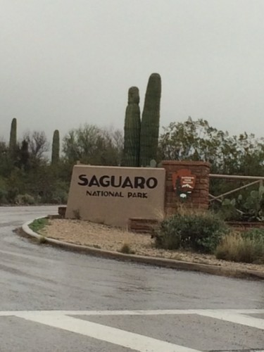 The entrance to the eastern district of the park on a moody (okay, rainy) March day