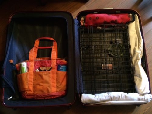 Chloe's orange and pink nylon travel tote, being packed in Big Red, her travel suitcase.