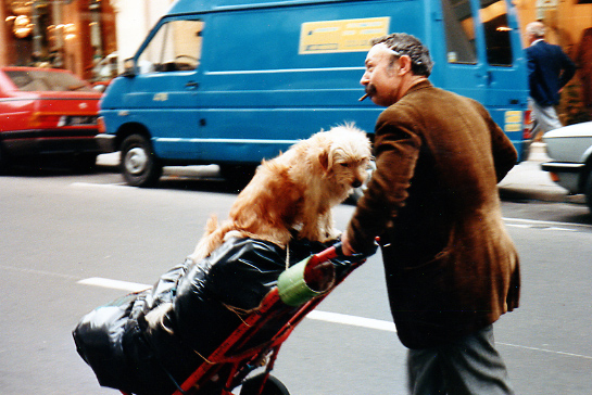 A Paris "dog taxi"