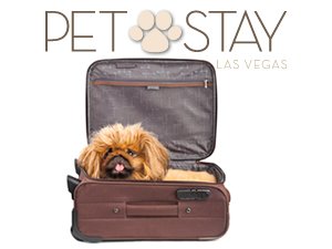 New dog-friendly policy at eight Las Vegas hotel/casinos!