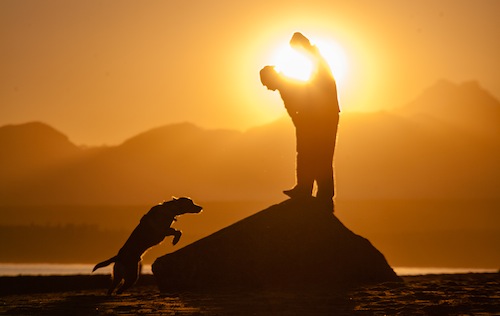 Peter-West-Carey-091226-160457-6844