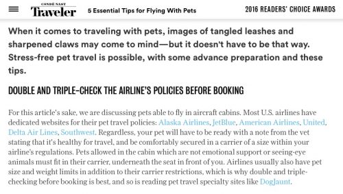 5_Essential_Tips_for_Flying_With_Pets