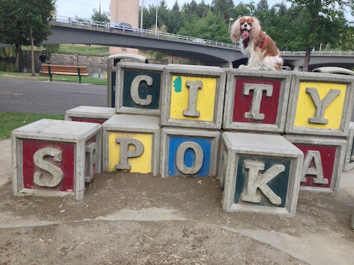 You'll find these giant alphabet blocks in Chloe's beloved Riverfront Park, home of many squirrels