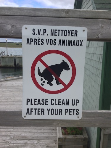 This sign is from Acadie, still (obviously) in the French-speaking part of the province. I admire the effort to capture actual moment of pooping, but I have to say that that creature really looks more like a giant squirrel.