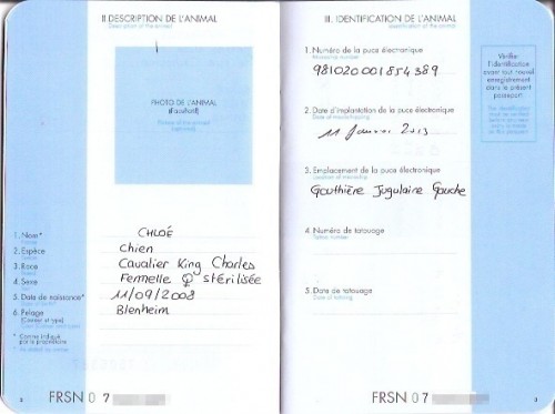 Pages 2-3: Please note that the date of Chloe's chip implantation is written European-style, with the day preceding the month