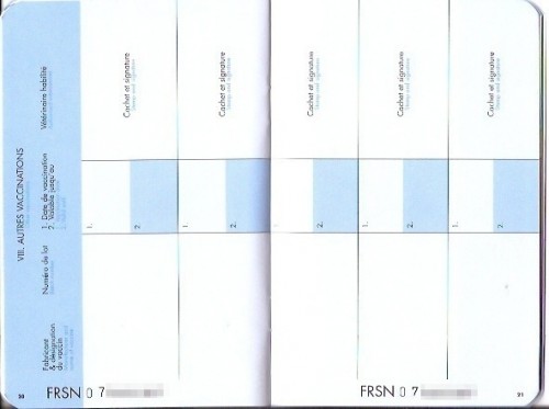 Pp. 20-21: Places to record other vaccinations. Pp. 22-23 are the same.
