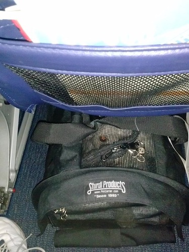 Theodore, in a large SturdiBag, under the middle seat of a Southwest 737-700 series plane