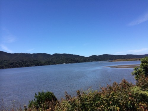 Point Reyes has the waves and the surf; Tomales Bay, behind it, is a more tranquil body of water. Here's part of it on a really perfect summer day.