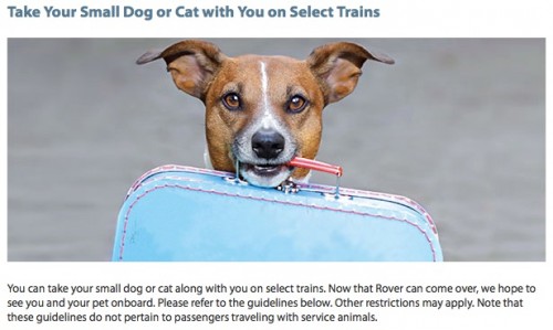 Amtrak_-_Experience_-_Onboard_-_Pets_on_Trains