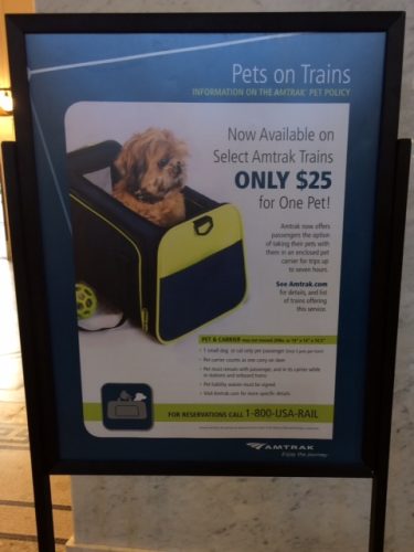 There are signs for pet travel in Amtrak stations! Hallelujah!