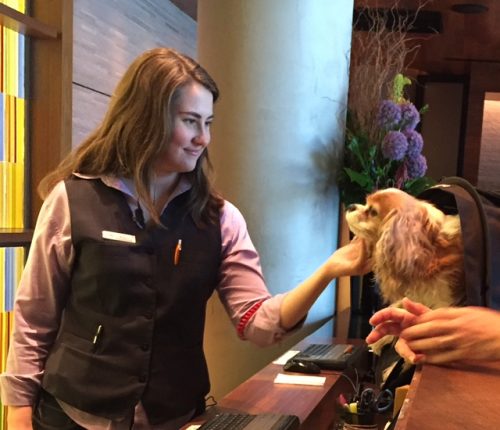 Chloe bidding farewell to Bridget, one of her beloved front desk buddies