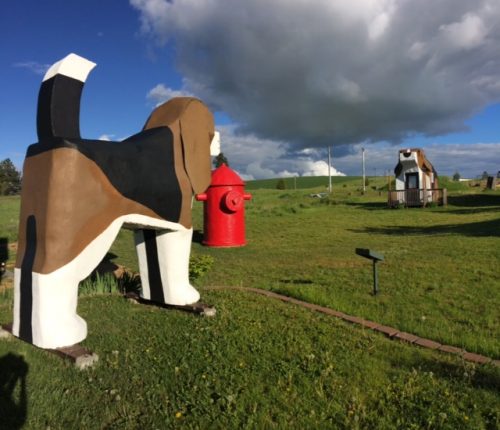 …and also a fire hydrant, which is slated to shelter a porta-potty for summer visitors.