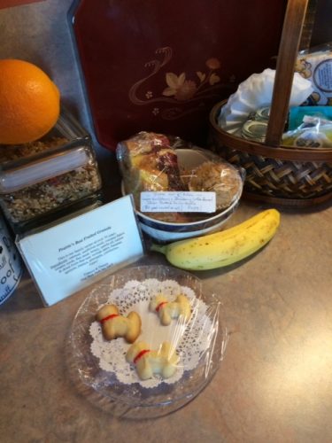Here's a close-up of the treats; you can also see some of the other goodies she provided, including homemade muffins, with berries she and Dennis gathered, and homemade granola, specially nut-free for my sake.