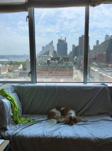 The view (north to Lincoln Center) from our second room — that's our sheet on the couch, protecting it from Chloe's fur.