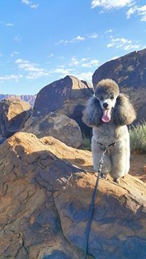 Last in this batch of pictures of beautiful Calvin in beautiful Utah. Amy says that the southwest corner of Utah is particularly amazing.