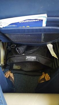 Calvin the tall Miniature Poodle, in an XL SturdiBag, on a Southwest 737-700 — that 's a darned good fit.