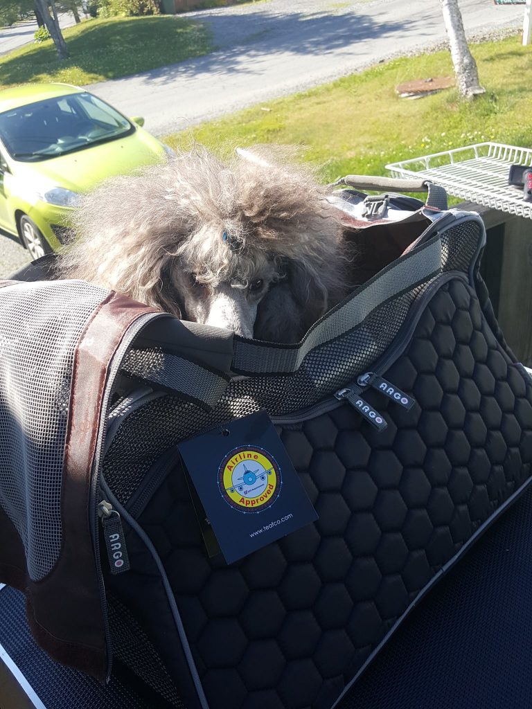 Reader’s report Modifying a Pettom Expandable pet carrier, flying in