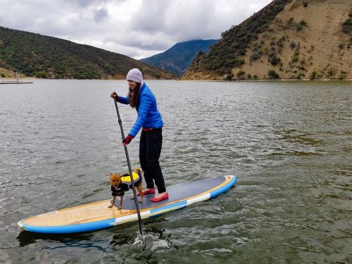 Paddleboarding together — Katherine was thrilled to report that Robin's becoming ever more comfortable with being onboard